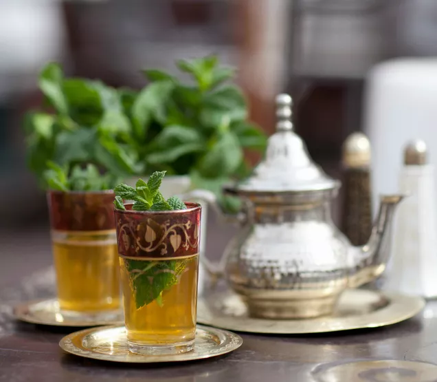 نعنا مراکشی